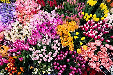 全新青春RPG《循环8 降神》 跳票至6月1日发售